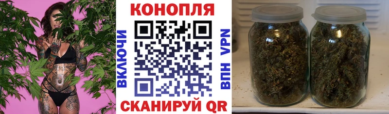 наркота  Клин  Конопля OG Kush 